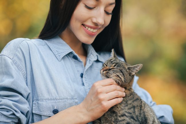 Ilustrasi seseorang memelihara kucing