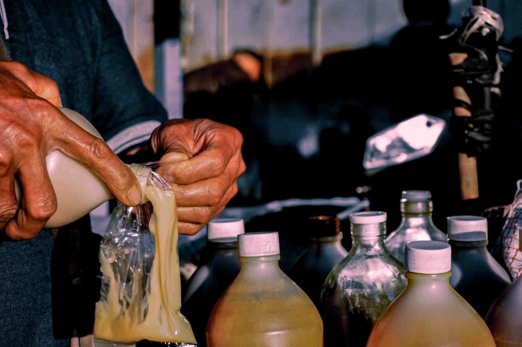 (ilustrasi memperingati jamu nasional, sumber : canva)