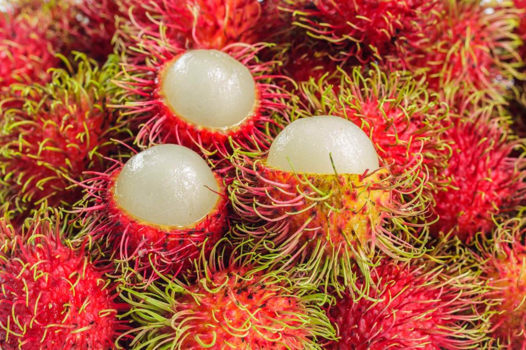 (buah rambutan, sumber : canva)