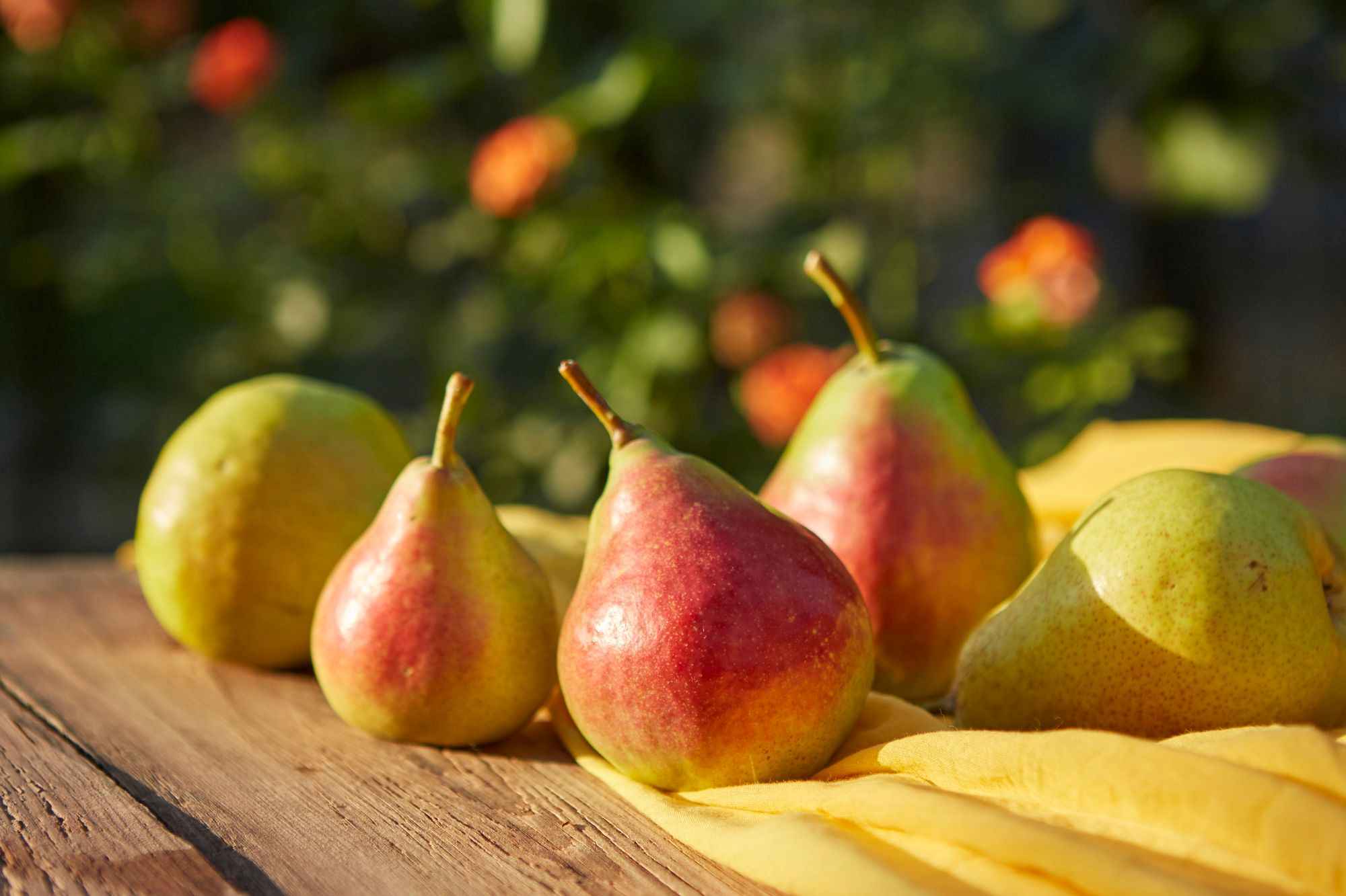 Apakah Buah Pir Bisa Mengatasi Asam Lambung?